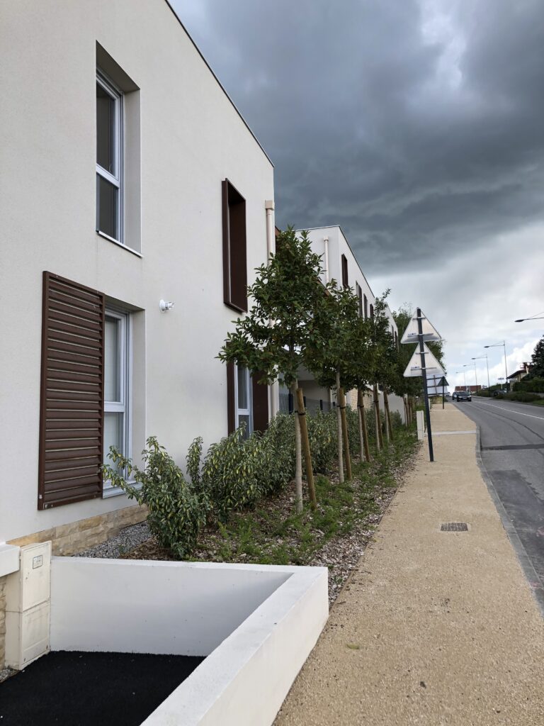 Alignement d'arbres et aménagement d'une noue paysagère – Le perchoir paysage Alignement d'arbres d'ornement et noue paysagère pour la gestion des eaux pluviales en bord de rue