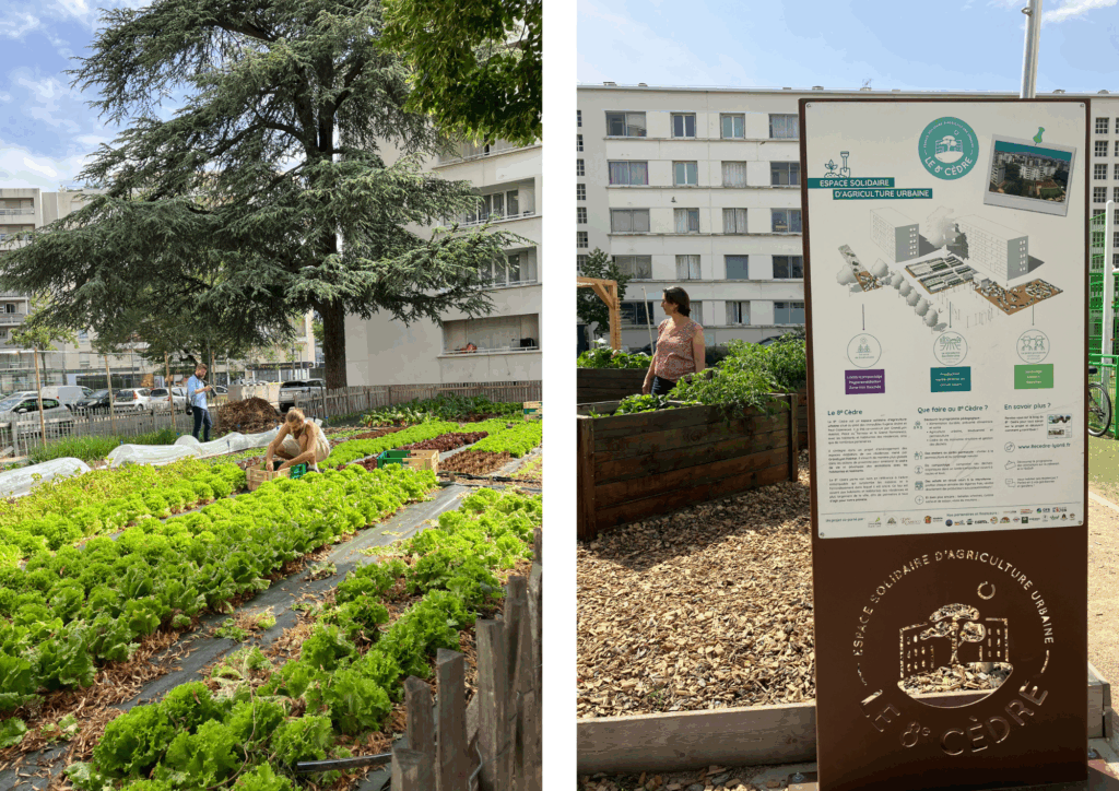 Parcelles maraîchères en herbe et panneau de signalétique pédagogique de la ferme urbaine Le 8ème Cèdre