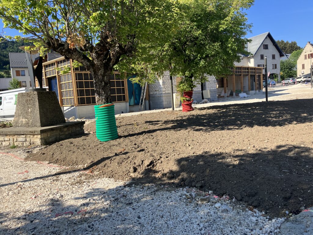 Chantier d'aménagement d'une place publique à Saint-Nizier-du-Moucherotte avec protection d'arbre et terrassement