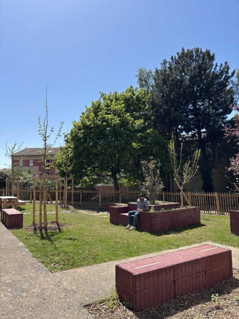 Aménagement de mobilier d'assise en bois et espace éxterieur – Le perchoir paysage Plateformes d'assise en bois rouge, arbres d'ornement et pelouse du jardin de la résidence