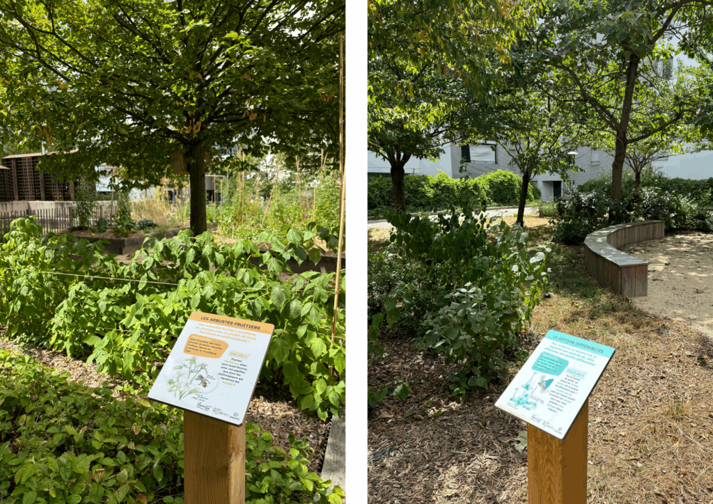 Signalétique pédagogique – Le perchoir paysage Panneaux pédagogiques, signalétique de jardin de la résidence Antonin Perrin à Lyon