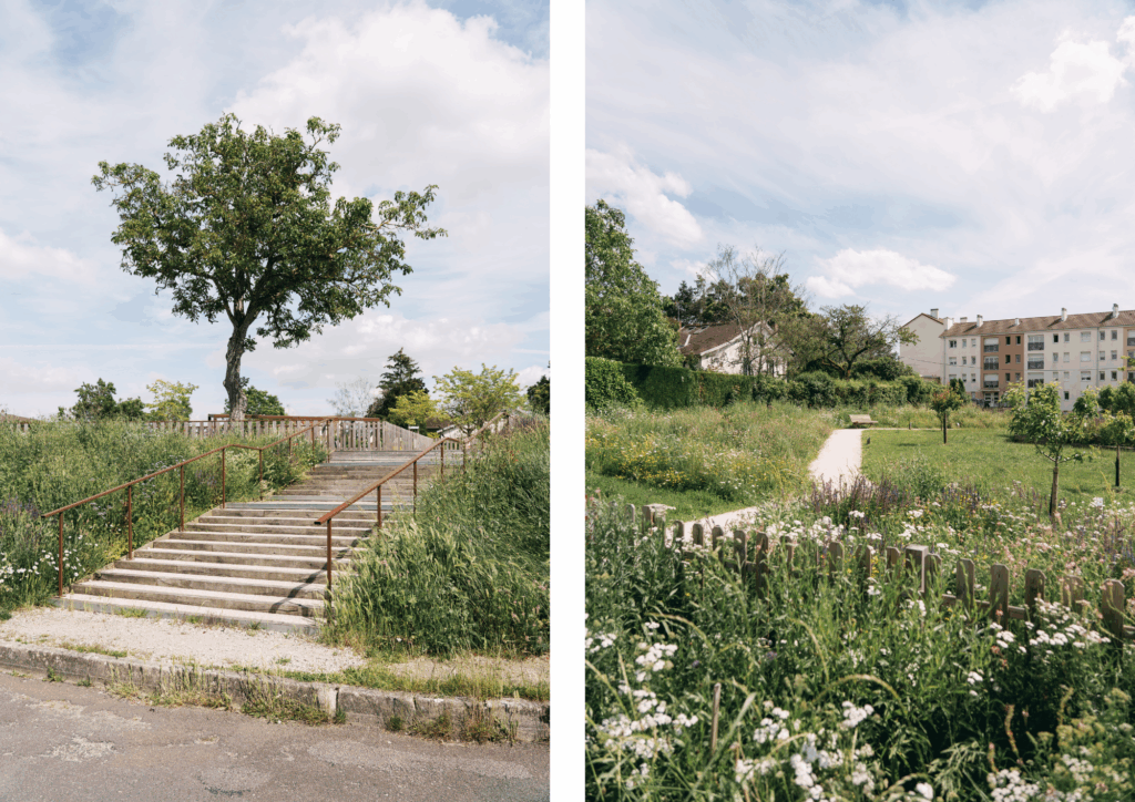Aménagement d'un escalier d'accès et d'une prairie fleurie – Le perchoir paysage Escalier paysager en pierre, prairie fleurie mellifère et gestion différenciée au square Bellevue