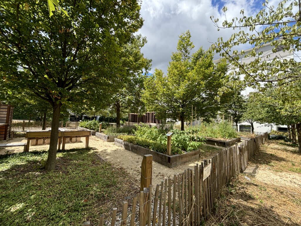 Aménagement de bacs potagers et jardin partagé – Le perchoir paysage Bacs potagers surélevés en bois et jardin partagé dans la cour intérieure de la résidence Antonin Perrin à Lyon