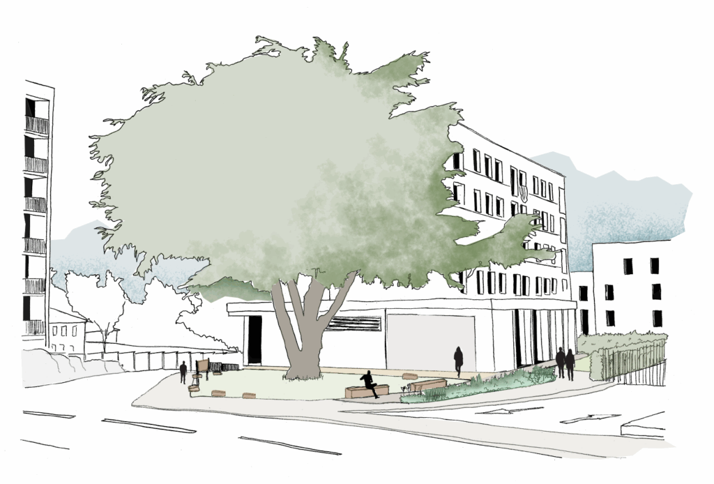 Croquis d'ambiance autour de l'arbre remarquable – Le perchoir paysage Croquis en perspective de la préservation d'un grand arbre remarquable et de la placette résidentielle