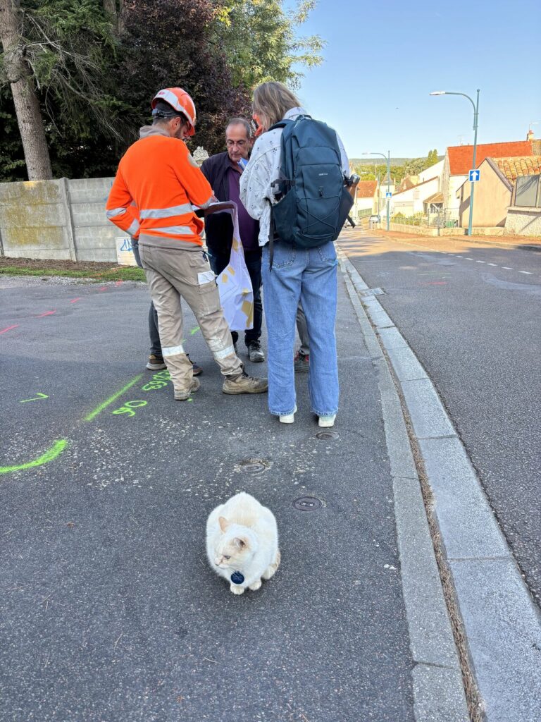 Image d'une réunion de chantier