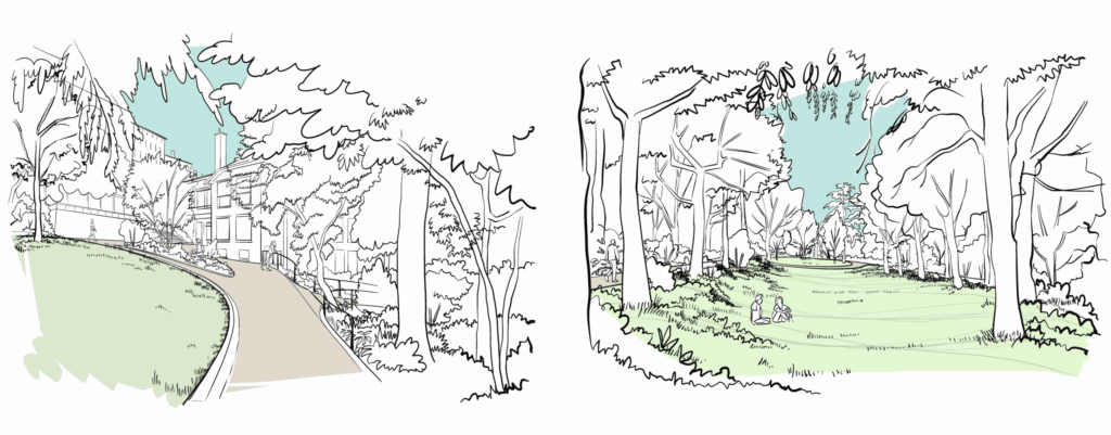 Croquis paysagers d'ambiance illustrant les cheminements et espaces boisés du futur parc de la Clinique Saint Charles