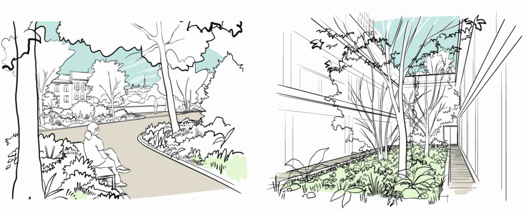 Croquis des clairières et patios du parc – Le perchoir paysage Croquis paysagers d'une clairière ombragée et de patios plantés pour le parc de la Clinique Saint Charles