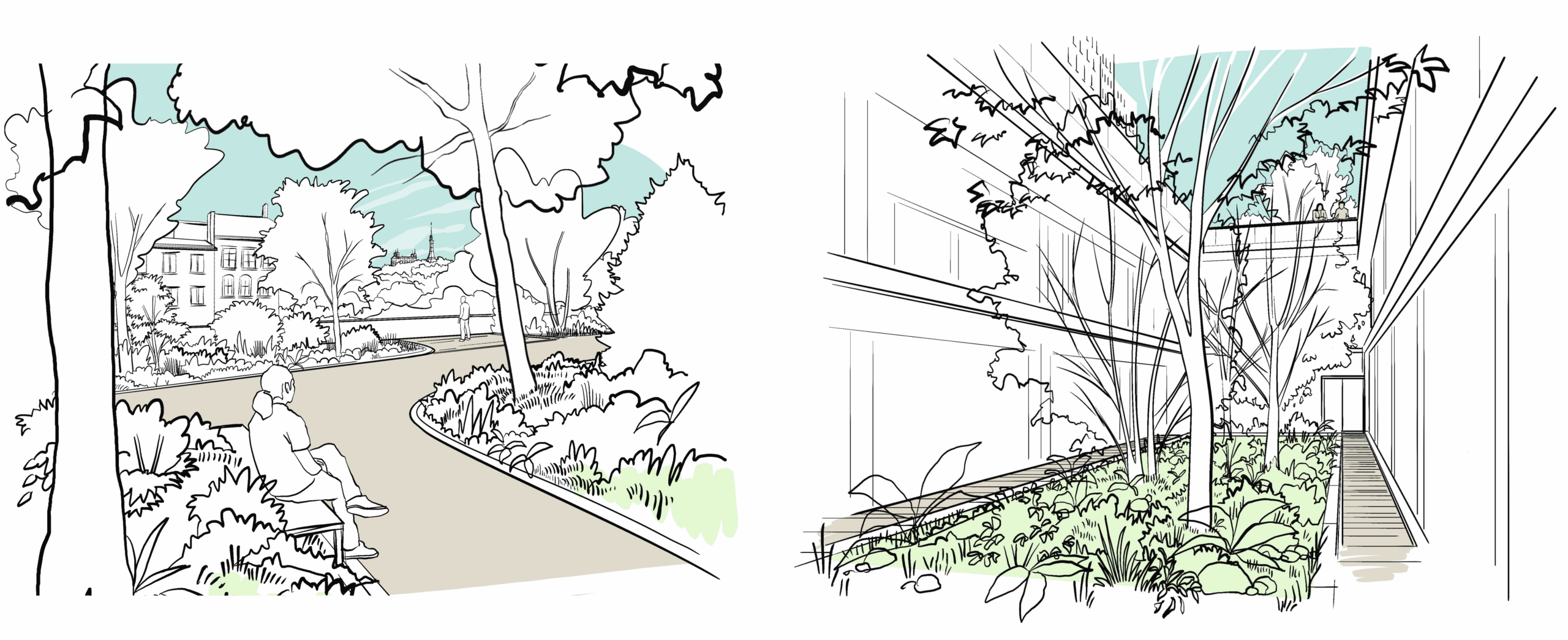 Requalification du parc de la Clinique Saint Charles à Lyon, aménagement paysager et gestion écologique