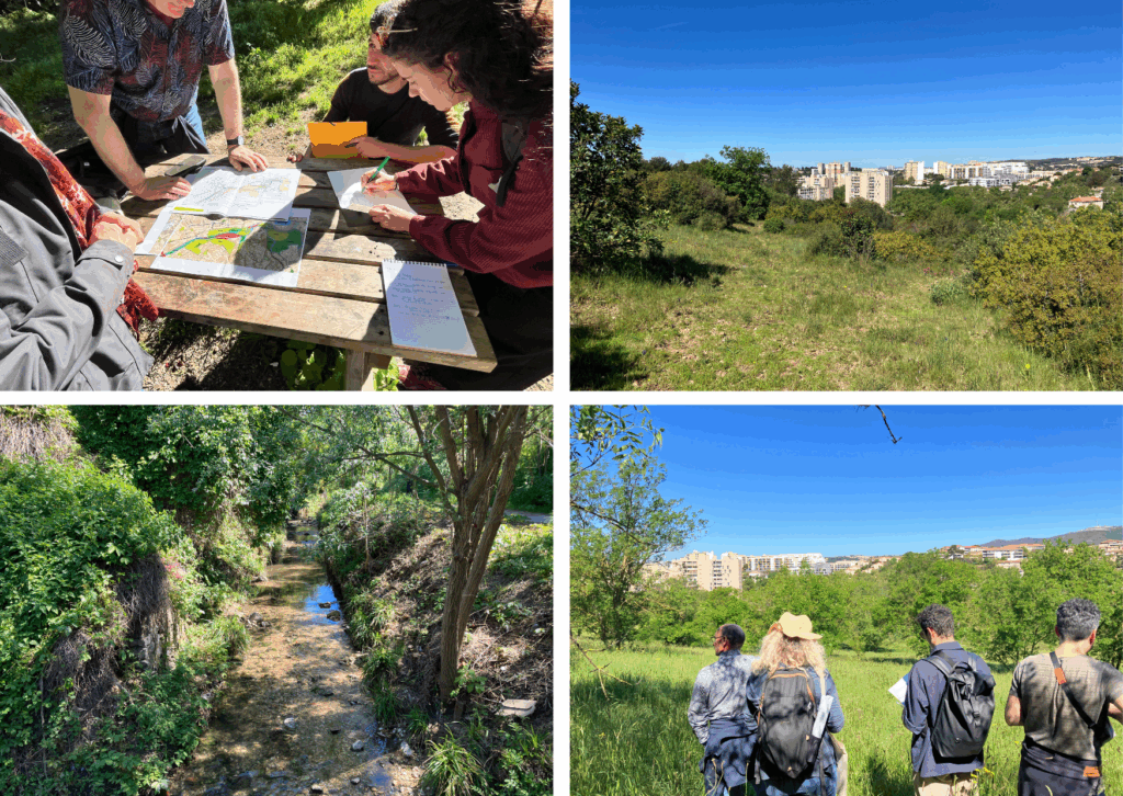 Atelier de terrain et diagnostic écologique du ruisseau du Jarret à Marseille