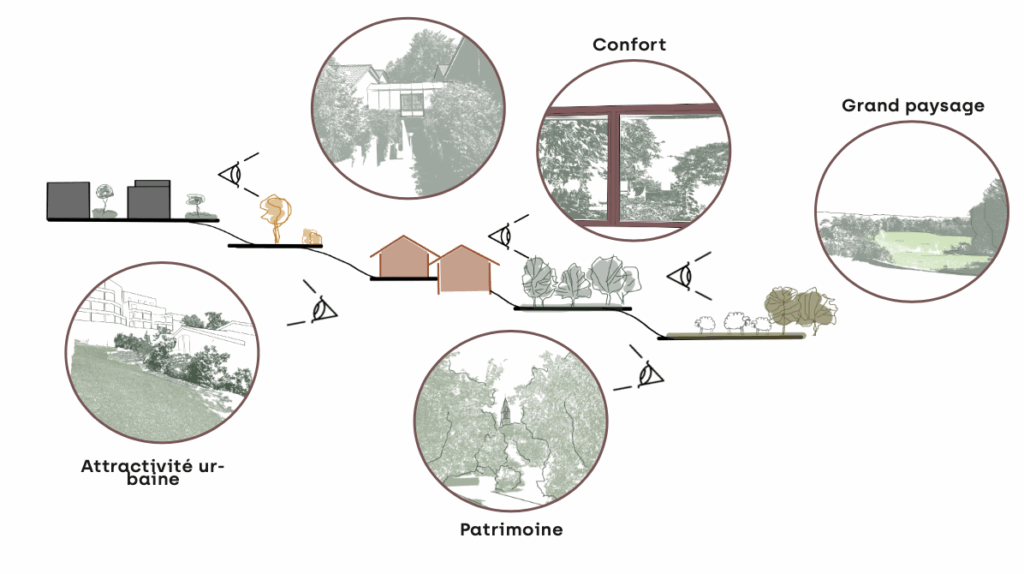 Schéma des orientations d'aménagement et enjeux – Le perchoir paysage Schéma des enjeux paysagers d'une cour d'école à Dardilly axé sur le confort, le patrimoine et la biodiversité