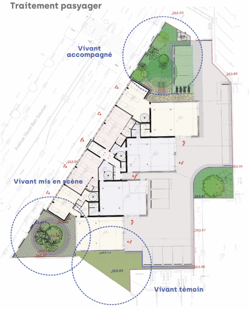 Plan du traitement paysager du village du Vallon – Le perchoir paysage Plan du traitement paysager et de la gestion de la biodiversité pour le village du Vallon à Lyon 9