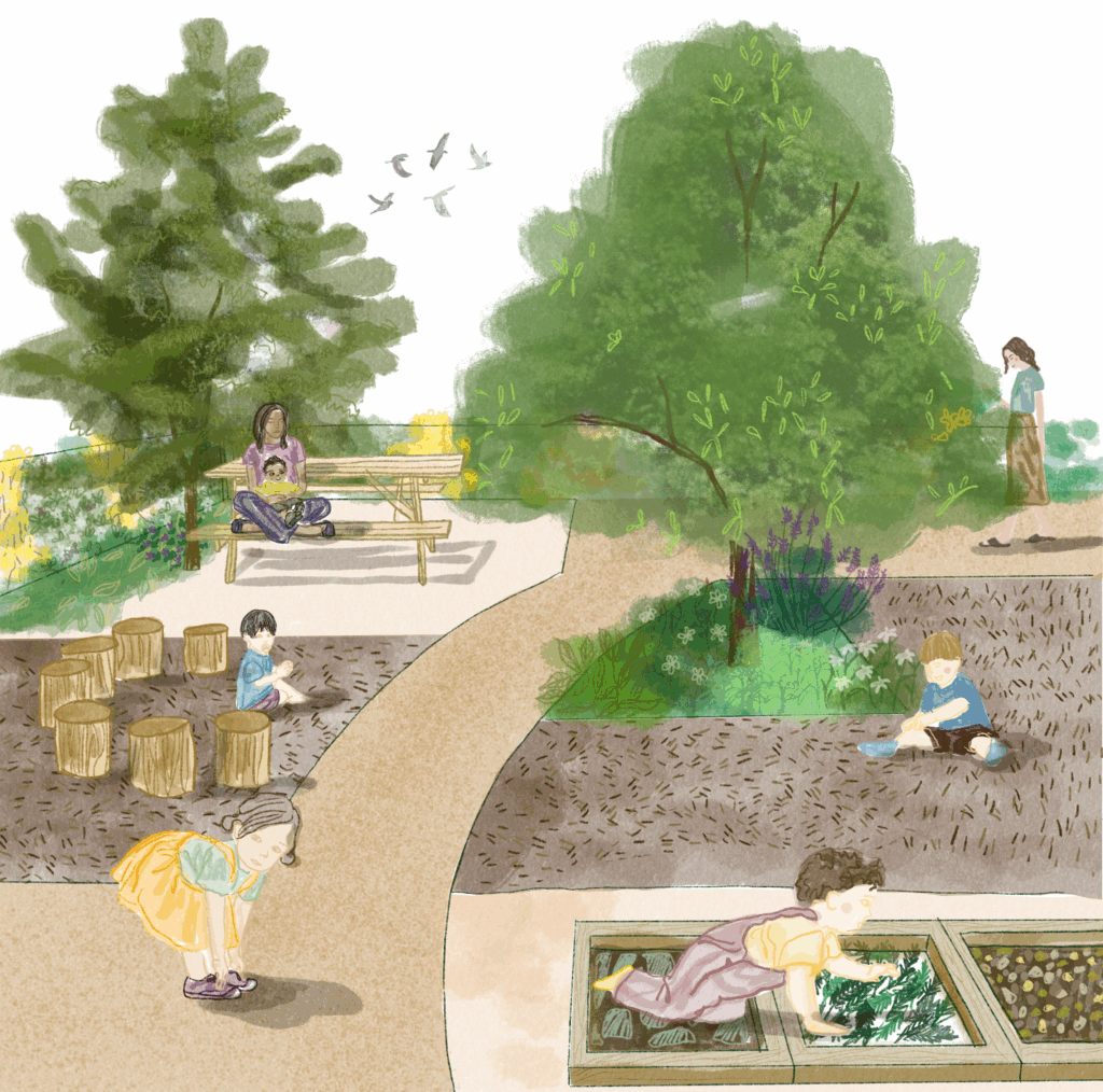 Perspective illustrée du jardin de sensibilisation à la biodiversité – Le perchoir paysage Illustration paysagère du projet de jardin pédagogique de la cours Est avec bacs potagers et parcours sensoriel