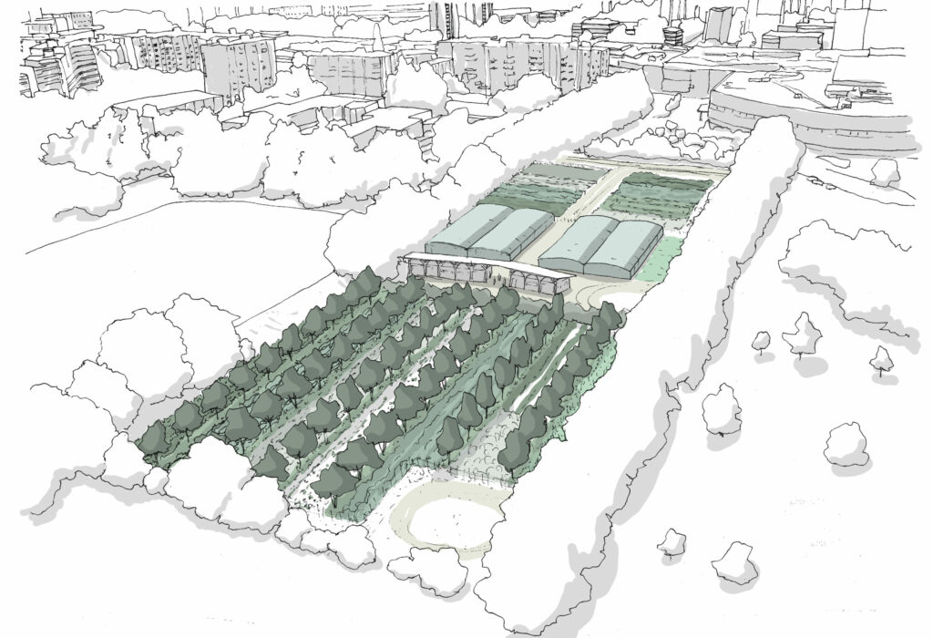 Croquis axonométrique illustrant les parcelles maraîchères et serres d'une ferme urbaine à Grenoble
