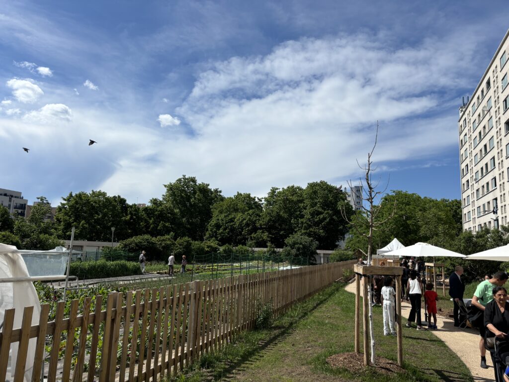 Aménagement de la serre agricole et du tiers-lieu – Le perchoir paysage Serre agricole, clôture en ganivelle de bois et aménagement paysager productif à Lyon