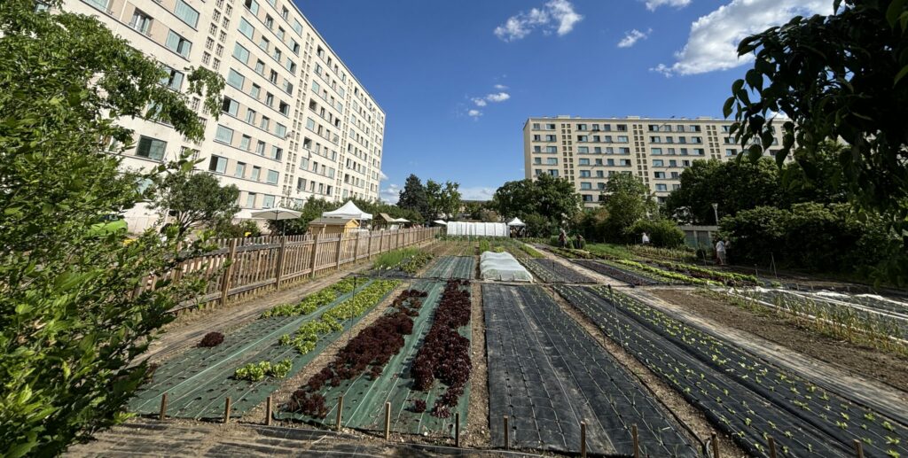 Cultures maraîchères de la micro-ferme urbaine – Le perchoir paysage Photographie des parcelles maraîchères et des cultures en plein champ de la micro-ferme urbaine à Lyon