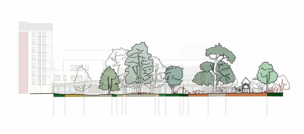 Coupe technique illustrant les continuités paysagères entre un square et une cour d'école à Villeurbanne