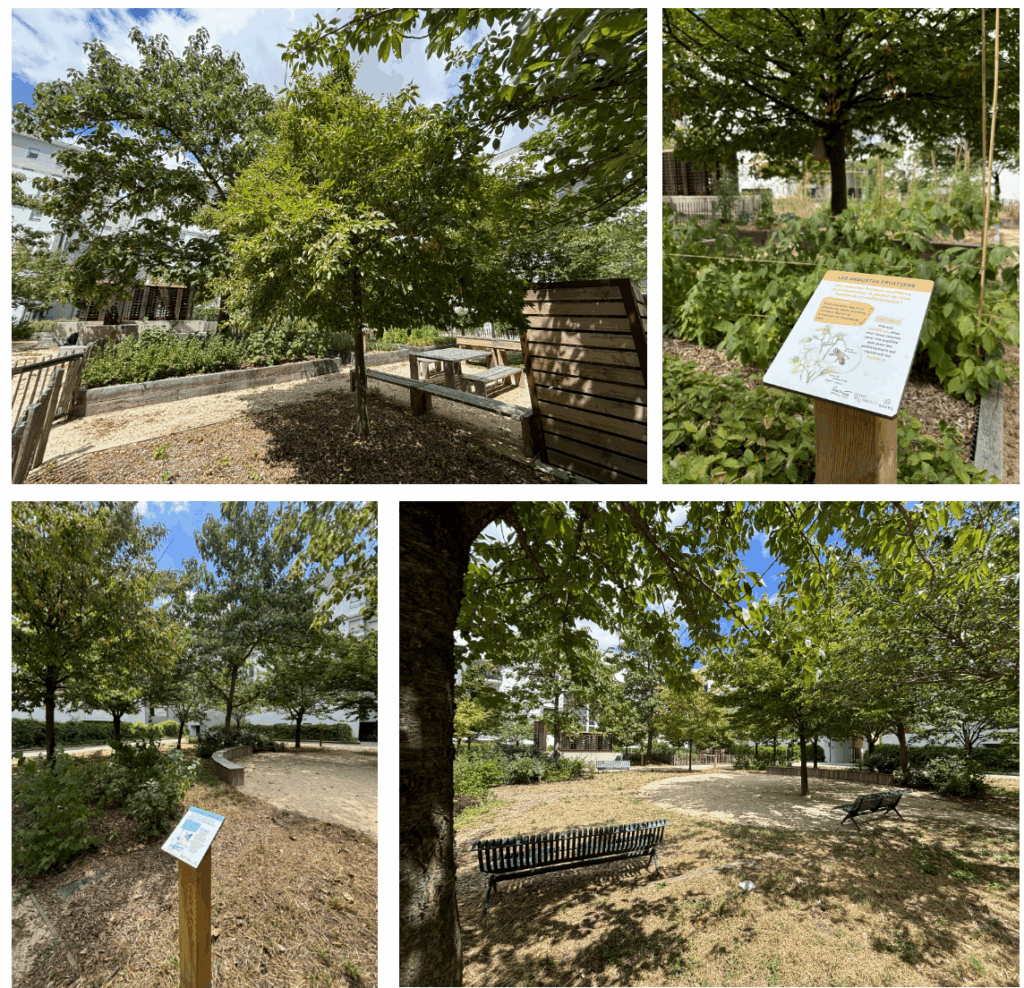 Cœur d'îlot potager de la résidence Antonin Perrin à Lyon Gerland · le perchoir paysage
Jardin partagé et panneau sur la biodiversité de la résidence Antonin Perrin · le perchoir paysage