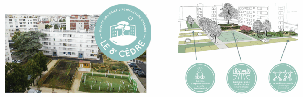 Site de la micro-ferme urbaine avant aménagement à Lyon 8 · le perchoir paysage