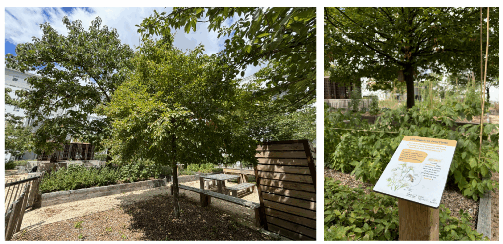 le perchoir paysage parc vivrier et potager partagé résidence Antonin Perrin à Lyon Gerland le perchoir paysage parc vivrier et potager partagé résidence Antonin Perrin à Lyon Gerland