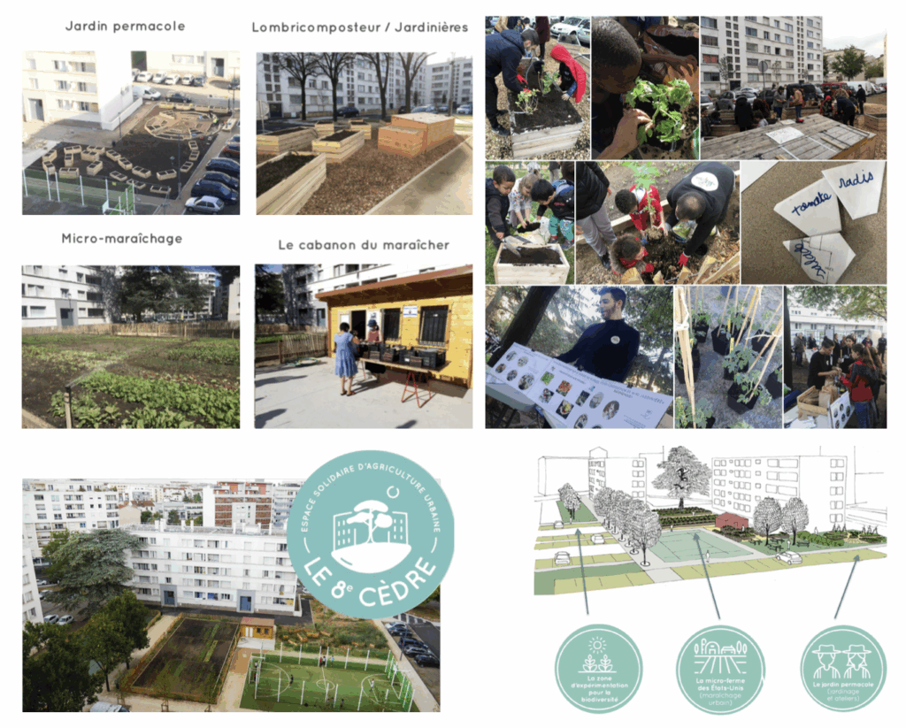 le perchoir paysage micro ferme urbaine du quartier des États-Unis à Lyon 8 maraîchage bio intensif le perchoir paysage micro ferme urbaine du quartier des États-Unis à Lyon 8 maraîchage bio intensif