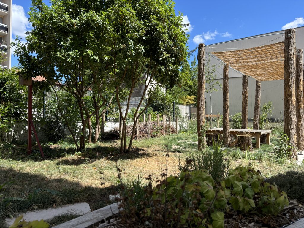 jardin de biodiversité planté d essences locales à Lyon par le perchoir paysage