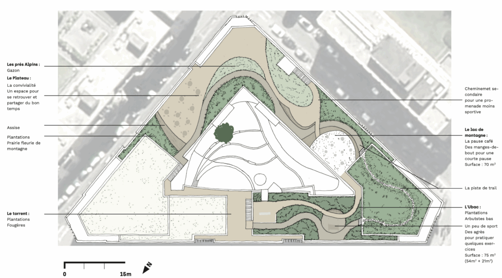 toiture plantée en milieu urbain dense à Lyon par le perchoir paysage maîtrise d œuvre paysagère