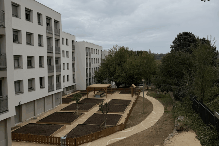 blog-image
